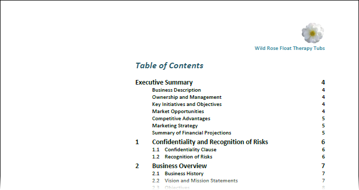 executive-summary